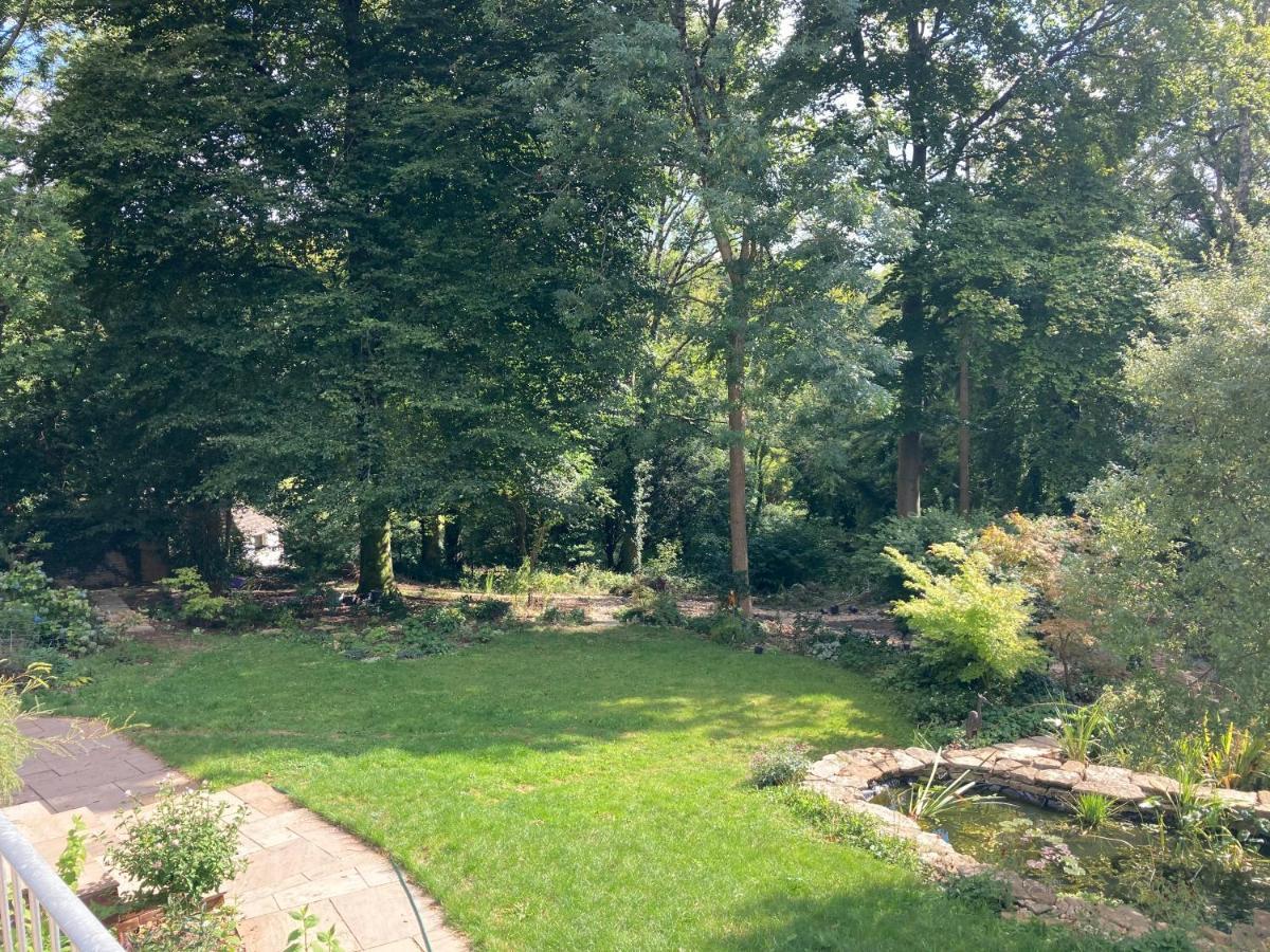Woodland Views Bed & Breakfast Milton Abbas Exterior photo
