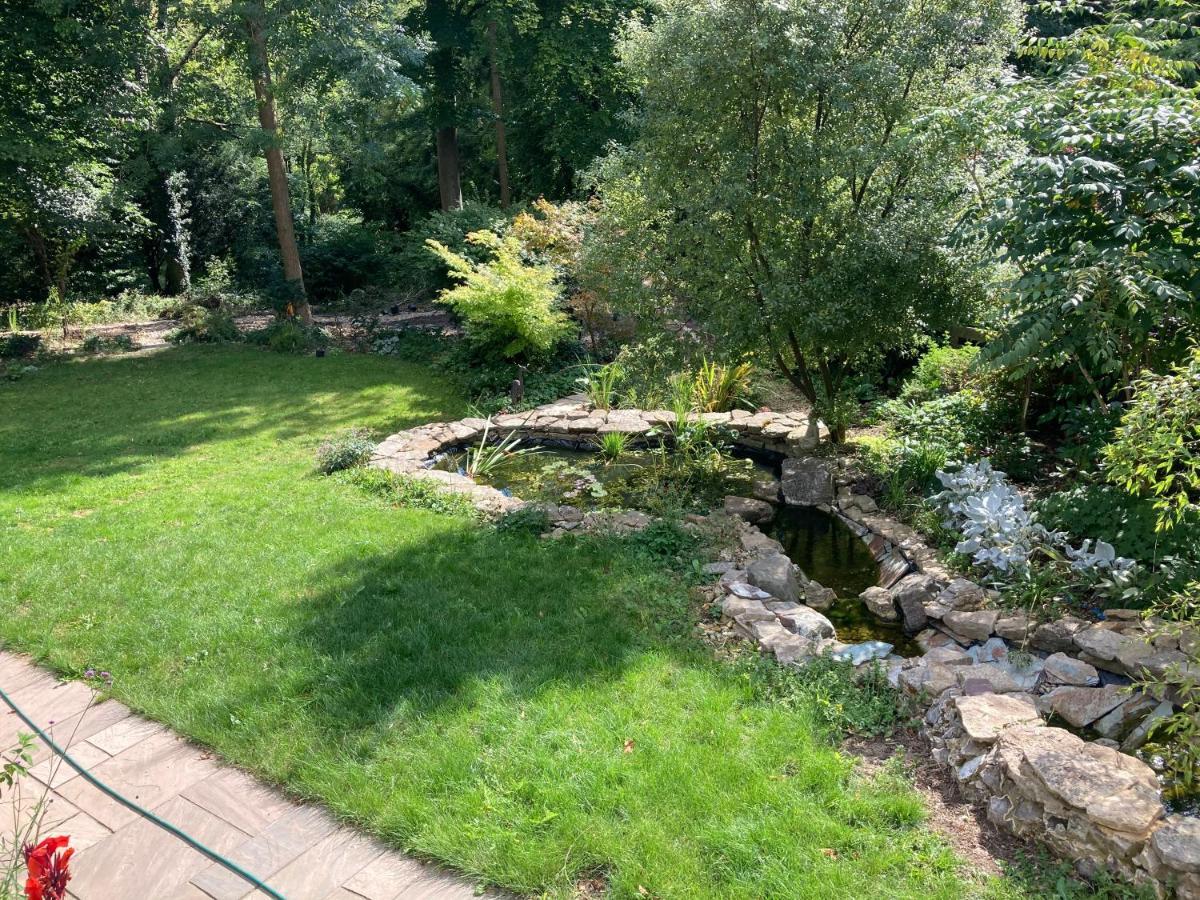 Woodland Views Bed & Breakfast Milton Abbas Exterior photo