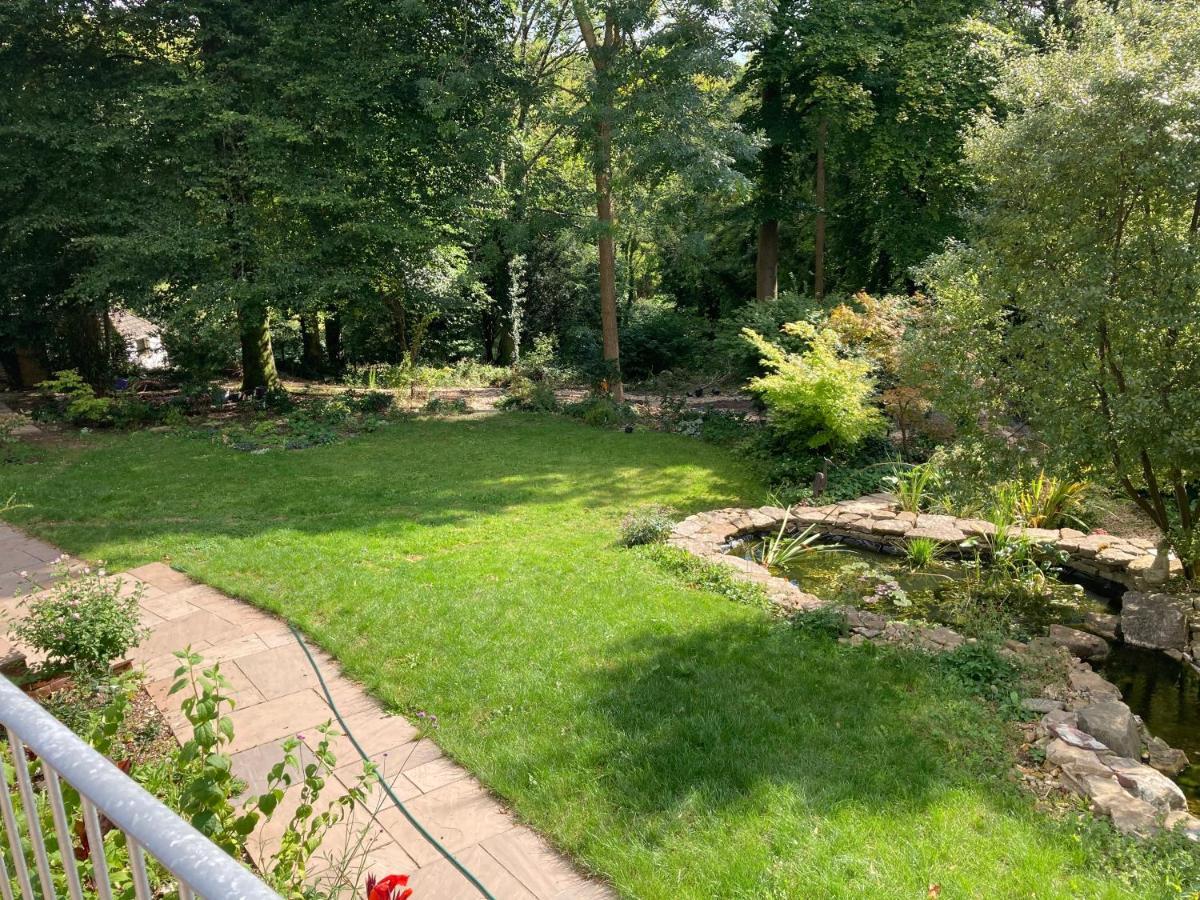 Woodland Views Bed & Breakfast Milton Abbas Exterior photo