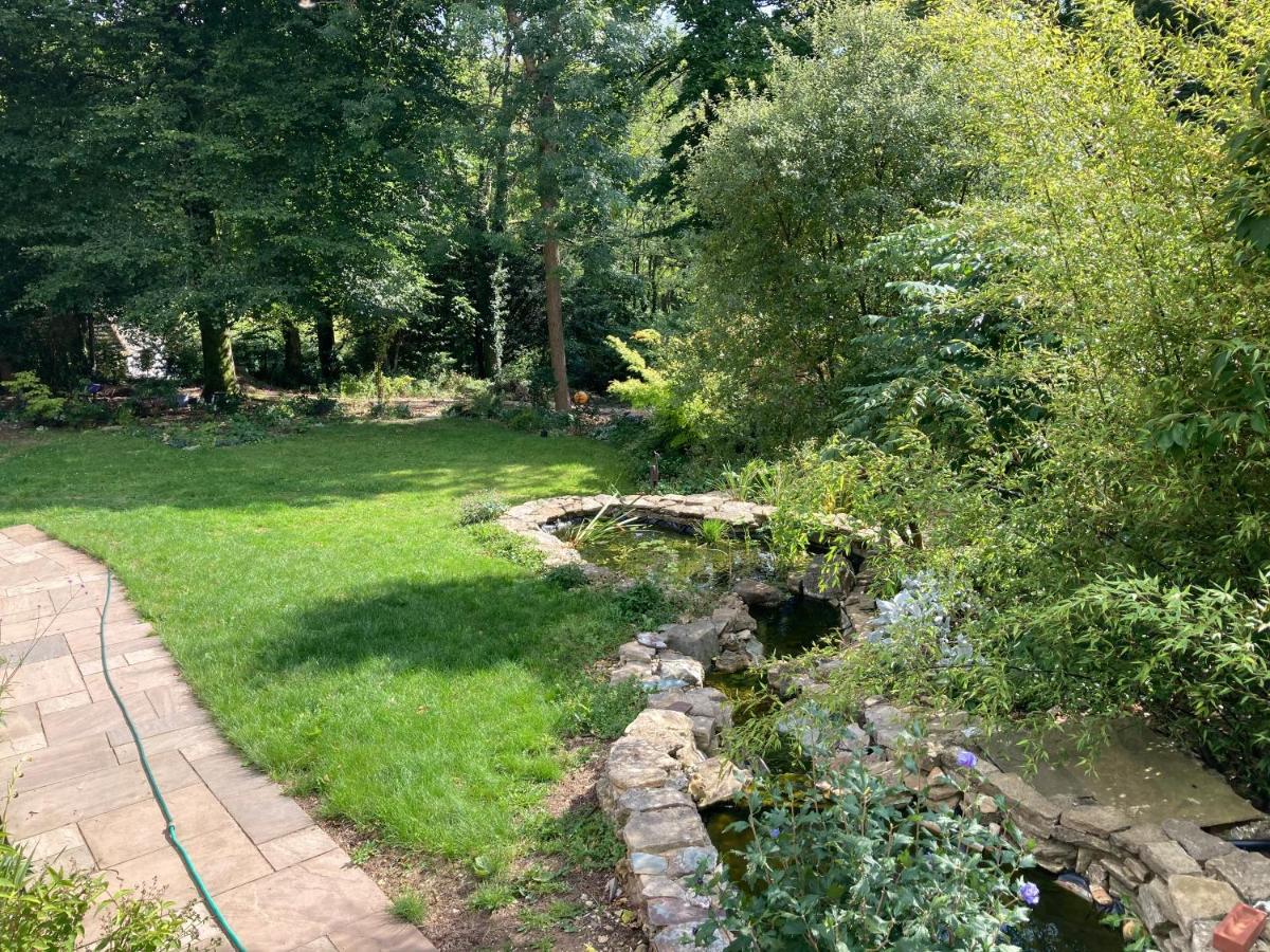 Woodland Views Bed & Breakfast Milton Abbas Exterior photo