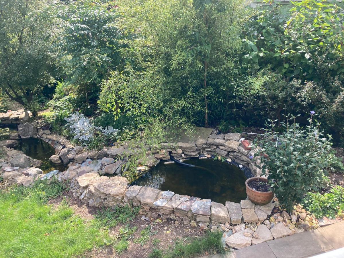 Woodland Views Bed & Breakfast Milton Abbas Exterior photo