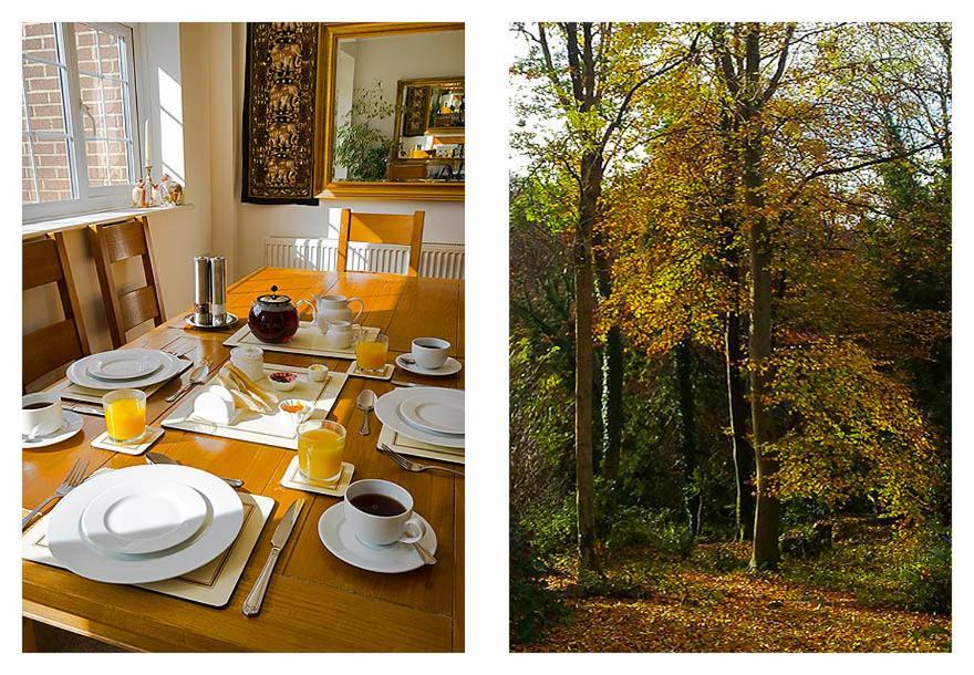 Woodland Views Bed & Breakfast Milton Abbas Exterior photo
