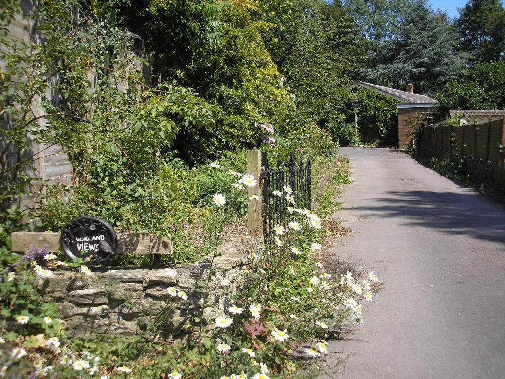 Woodland Views Bed & Breakfast Milton Abbas Exterior photo